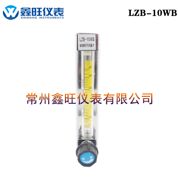 LZB-10WB玻璃轉(zhuǎn)子流量計(jì)